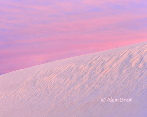 White Sands Photography