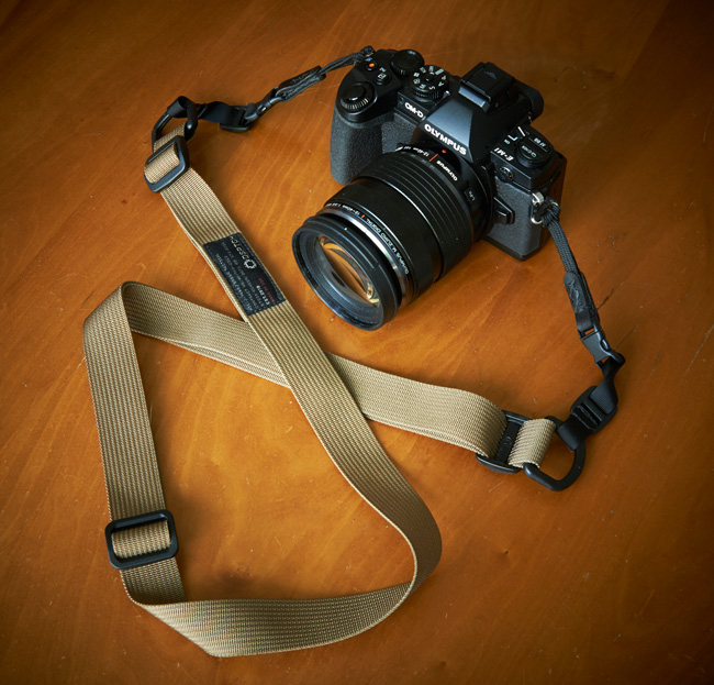 dsptch strap with camera