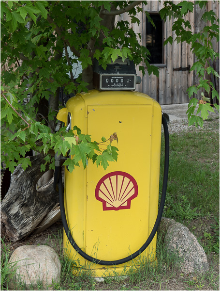 Shell. Clearview, Ontario. June, 2014