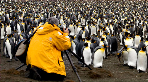 Indiro C413 tripod in Antarctica - Luminous Landscape