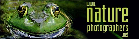 Nature Photographers, an online magazine dedicated to the nature and wildlife photography enthusiast.