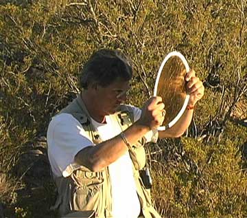 small gold-coloured reflector