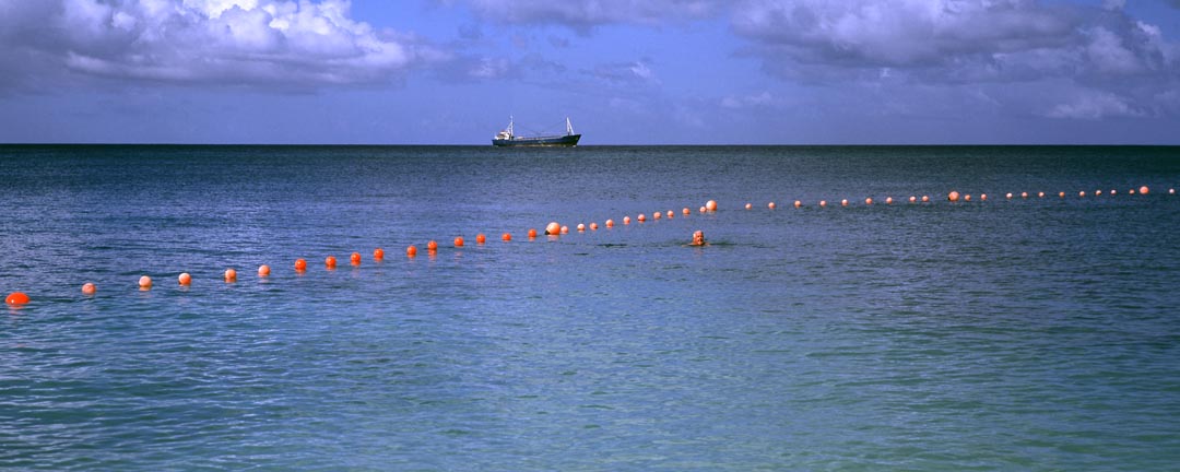 Swimmer - Barbados 