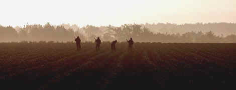 Rural Farm Workers