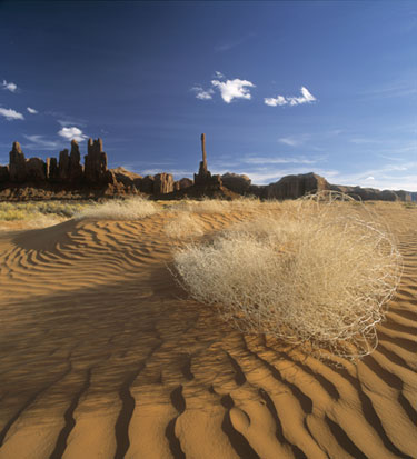 Tumbleweed Dunes