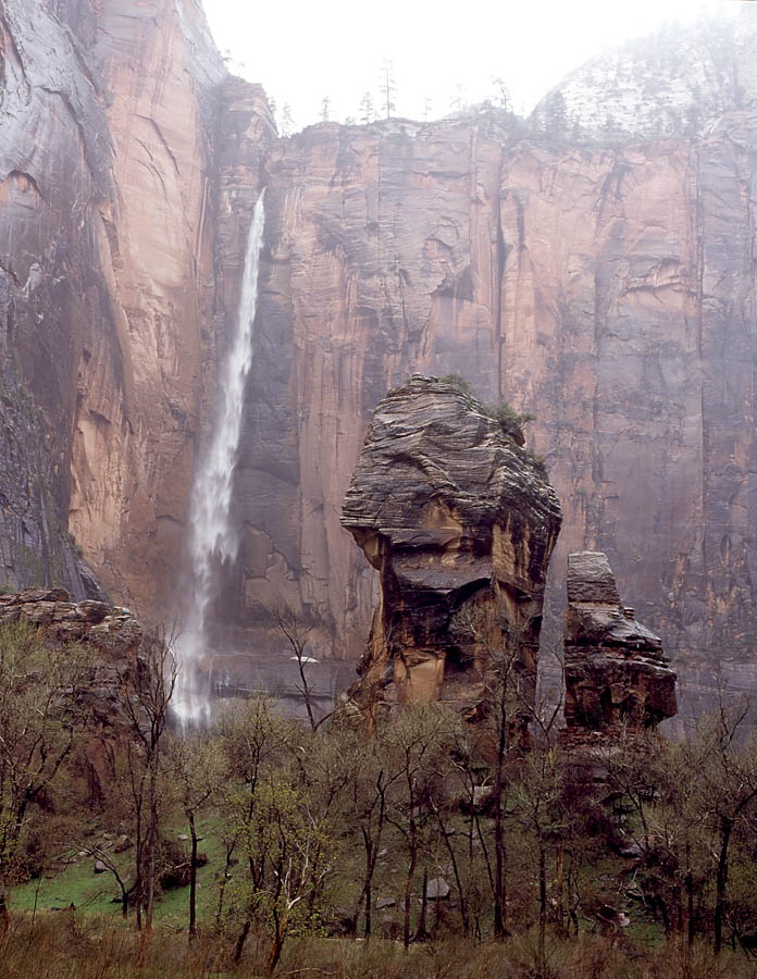 Zion Cliff and Waterfall
