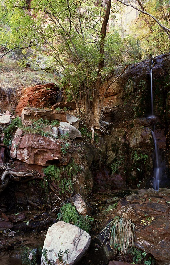 Hidden Waterfall - Zion N.P.