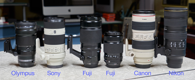 Fuji 50-140mm f/2.8 vs. Fuji 55-200mm f/3.5-4.8 - Admiring Light