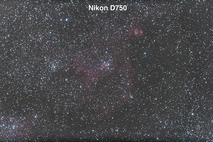NIKON D750 - Processed Image