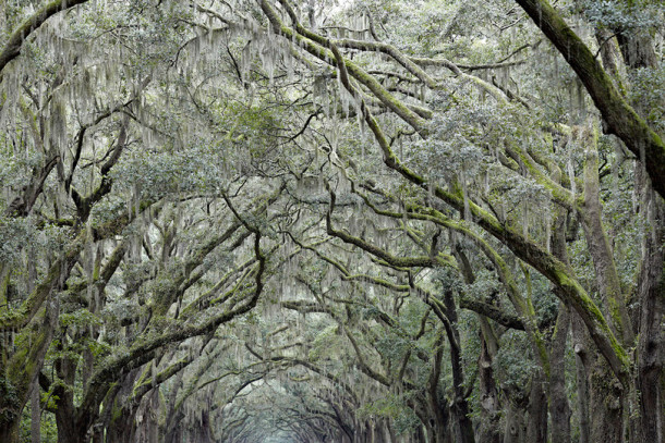 Luminous landscape changes image