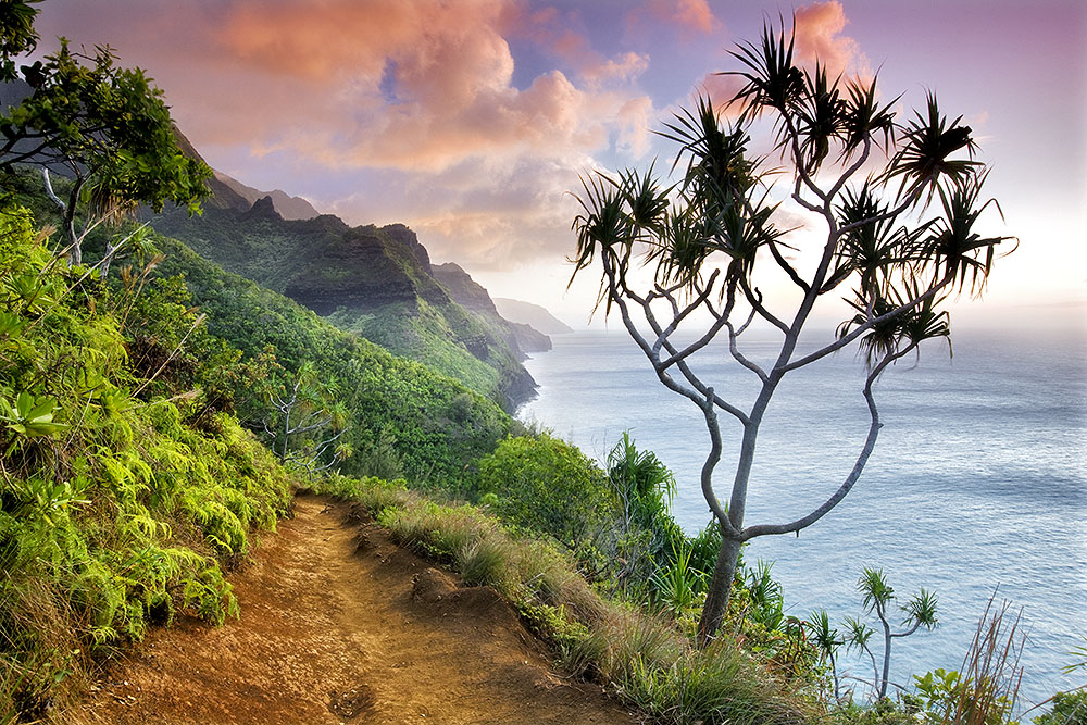 This image was created during an extended trip to Kauai where I arrived before my family by one week. The shot was made on the Kalalau Trail along the Na Pali Coast. After capturing this sunset shot I walked out by myself with a flashlight. It was a bit tense, and I doubt I would have attempted this image had my family been there.