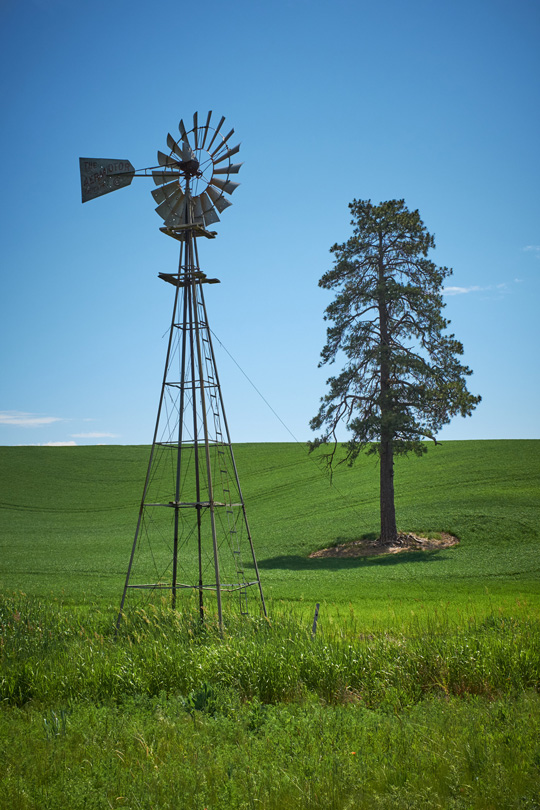 Classic Palouse - Windmill and lonely tree