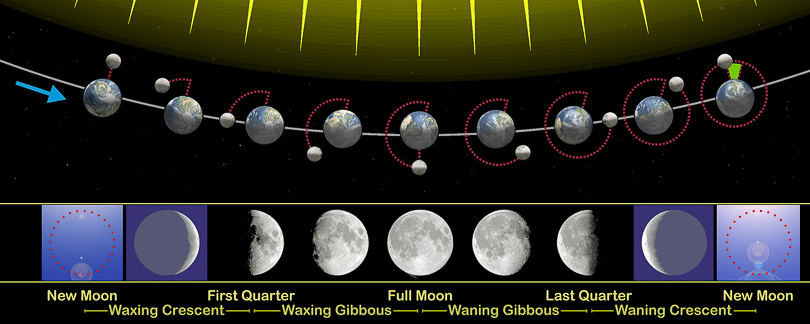 Figure 4 Moon Phases