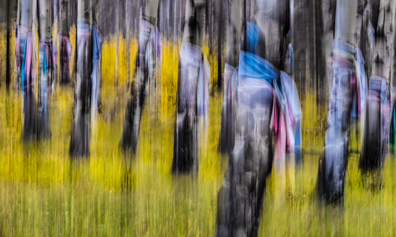 Ghosts Among The Aspens