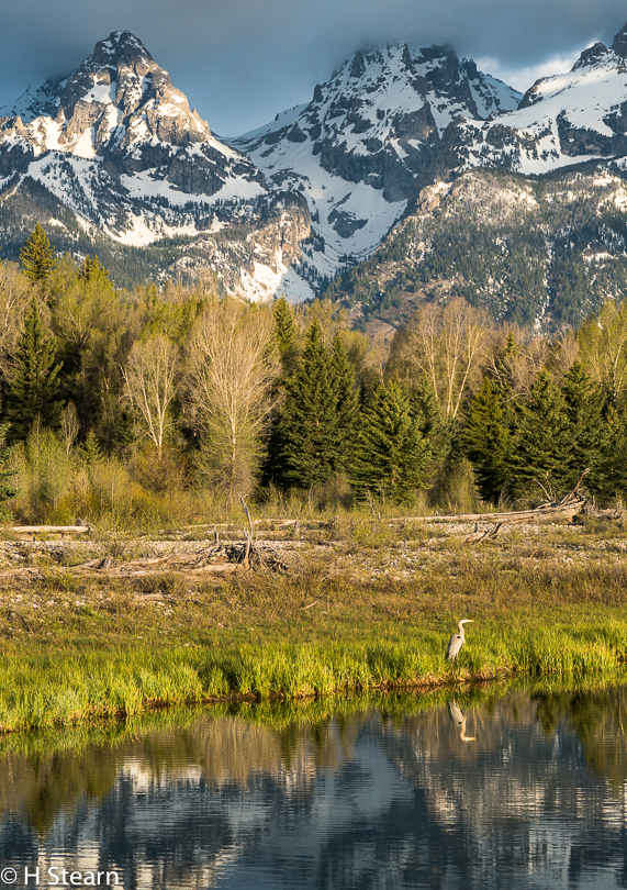 “Along the Snake River, Grand Teton National Park”