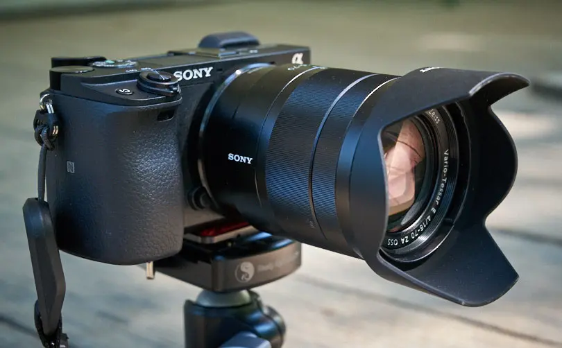 Sony A6300 Review From The Field - A Great Bear Camera - Luminous