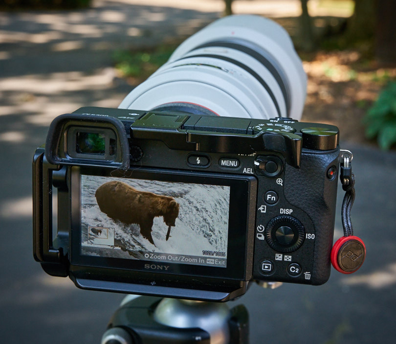 The Sony A6300 with the Really Right Stuff L-Bracket and Peak Design strap anchors