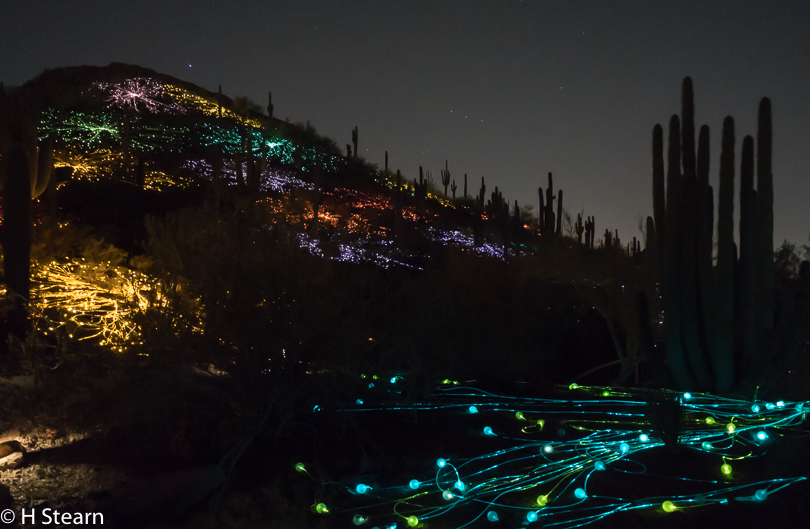 Botanical Gardens Light Show, Phoenix AZ