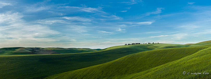 ”Palouse Blue and Green"