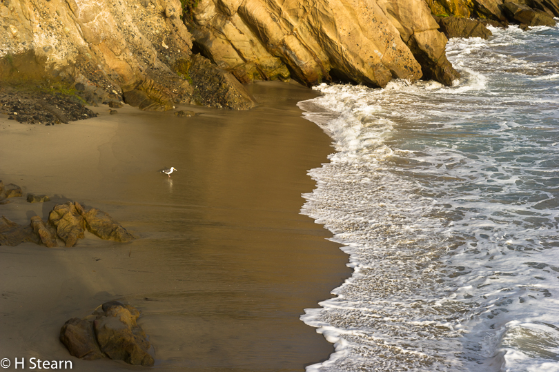 “Woods Cove”, Laguna Beach CA