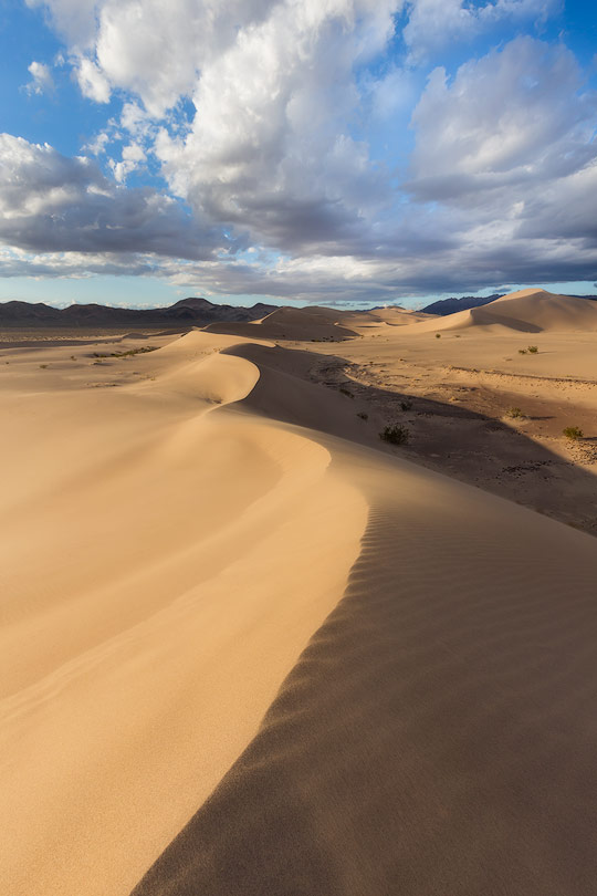 sarah-marino-sand-dunes-death-valley-sunset-810px