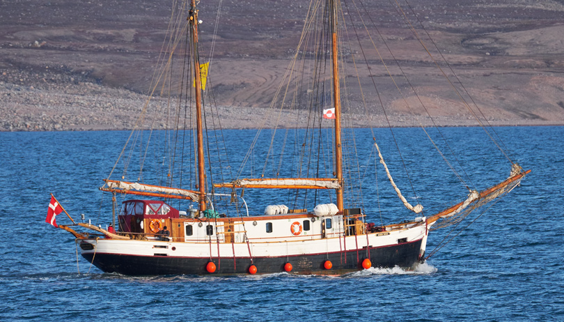 This was shot in high winds from the ship I was on of a boat we were passing. It was made at a 400mm setting on the 100-400mm lens. That's an equivalent of a 600mm hand held shot on a moving platform of another moving platform.