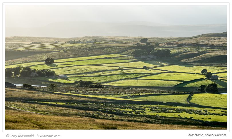 Baldersdale, County Durham – 135mm (equiv.) ƒ5.6@1/500 ISO100 EV–⅔