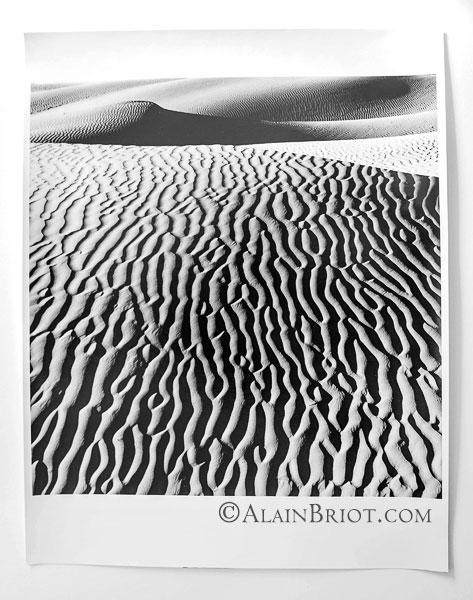 Dunes #5