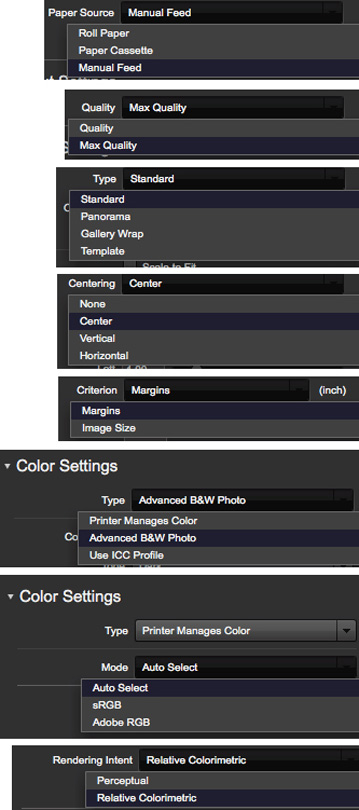 Figure 6. Epson Print Layout, SC-P5000 Settings Options