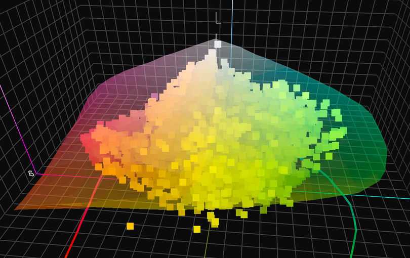 Figure 13. Wagner Bird 231,500 Colours (square dots) vs. SC-P5000/IGFS Gamut