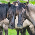 Regarding Fine Art Nature Photography – Part Three