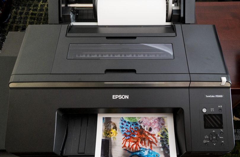 Epson SC-P5000 Printer Review - Landscape