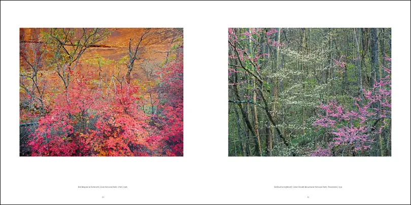 The Long Road - William Neill Photographer a Retrospective