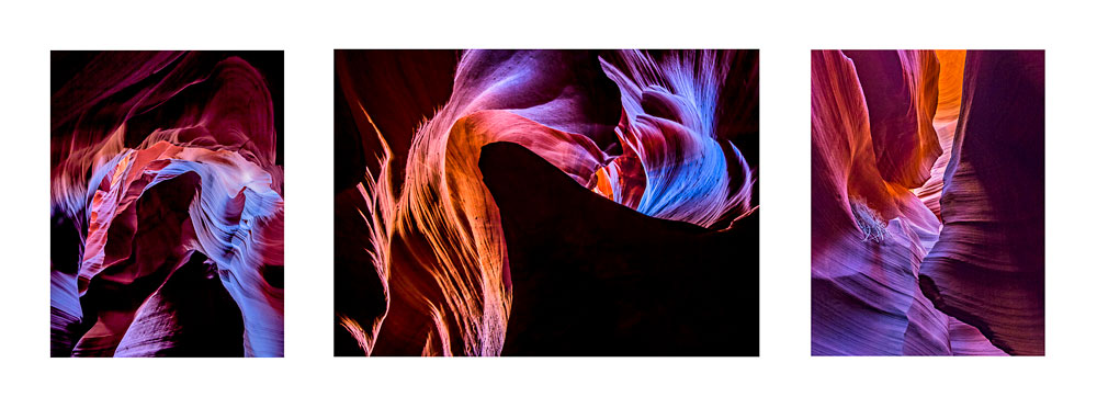 Antelope Color Triptych #2