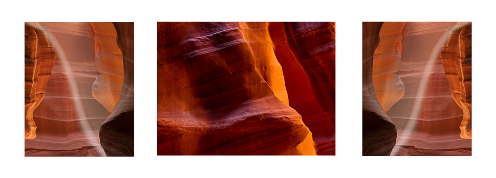 Antelope Color Triptych #4