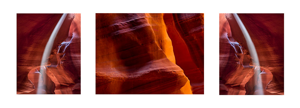 Antelope Color Triptych #5