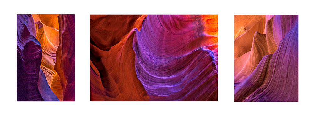 Antelope Color Triptych #7