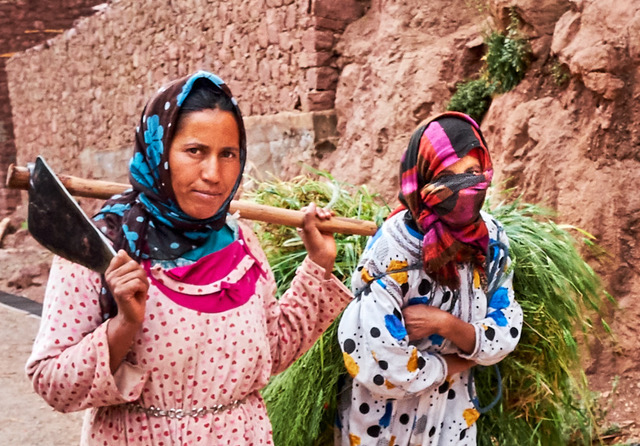 Returning Home to Village with Cuttings