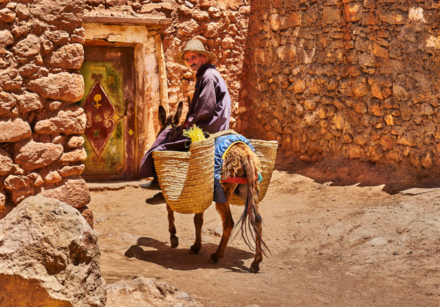 Returning Home from the Saturday Market