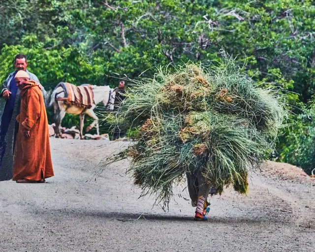 Capturing Berber Life in Morocco: Culture Through the Lens