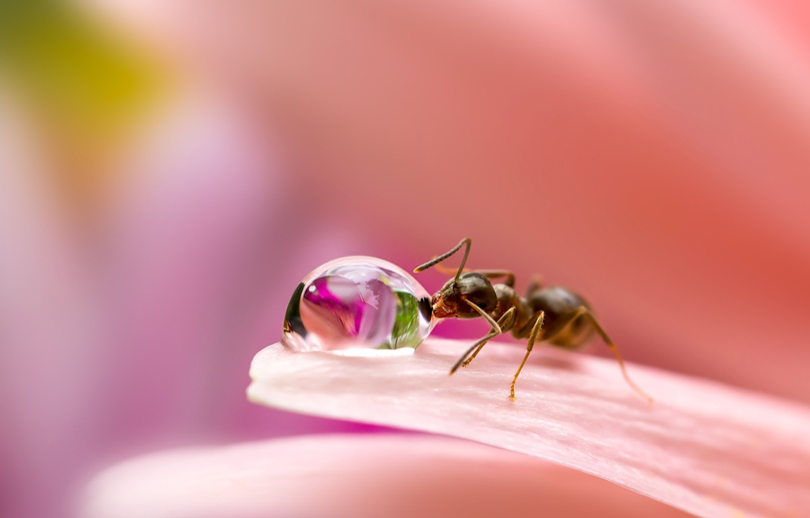 "The Drinker" Using a large aperture to create a shallow depth of field is a great way to create accentuating space.