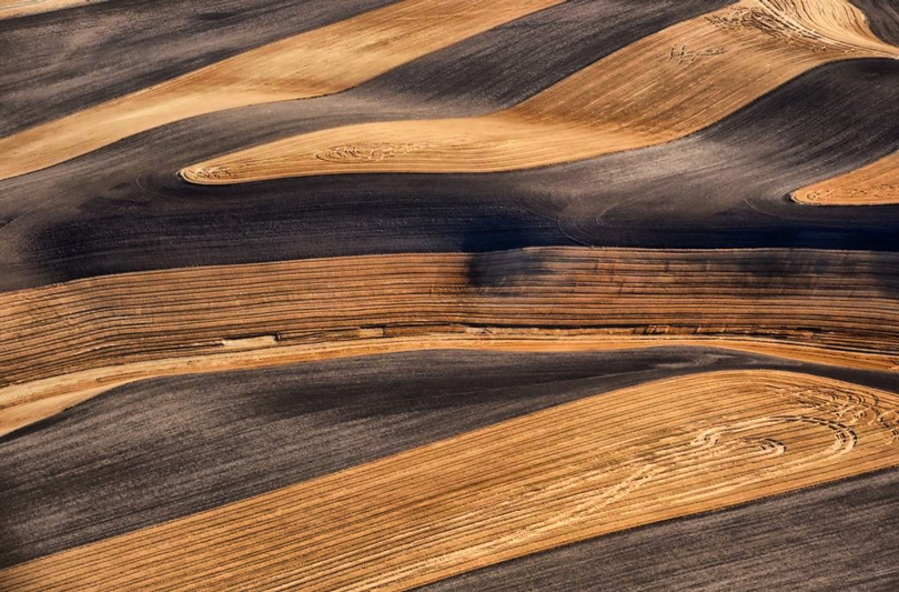 Palouse Patterns