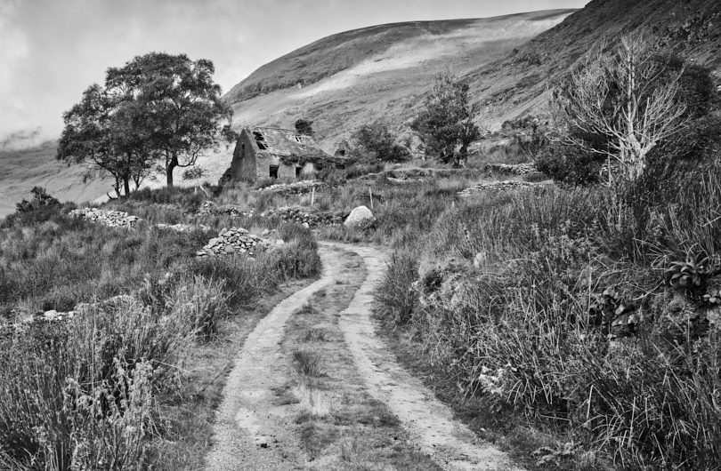 Rural Irish Lane