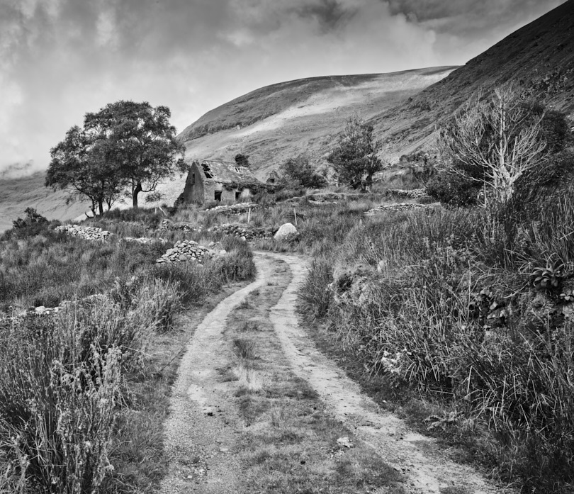 Rural Irish Lane