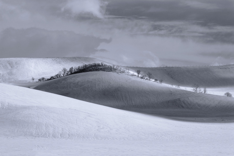 Snow Hokkaido