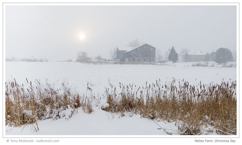 ProCamera raw capture on the way down to my parents for Christmas. We pulled to the side of the country road and spent a few minutes enjoying this wintery scene. 28mm f/1.8@ 1/1100s, 0EV, ISO20; processed in Lr.