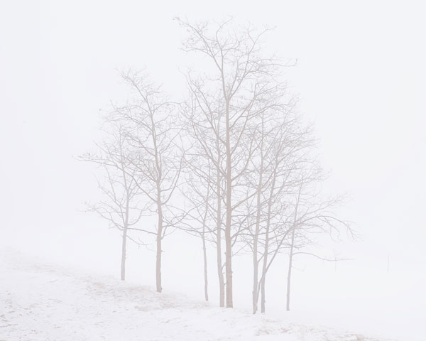 Fog and snow in the Northern New Mexico mountains