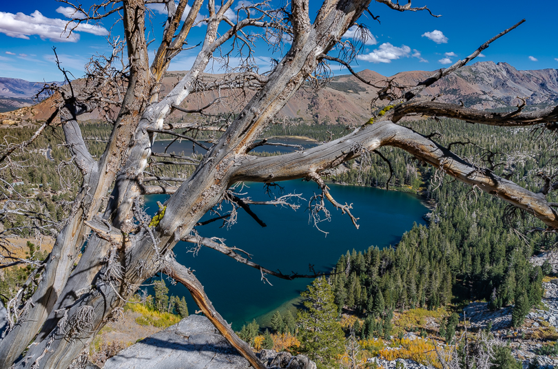 Mammoth Lakes Area, Eastern Sierras, CA
