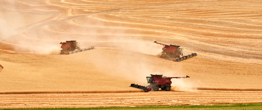 Combines work as a team