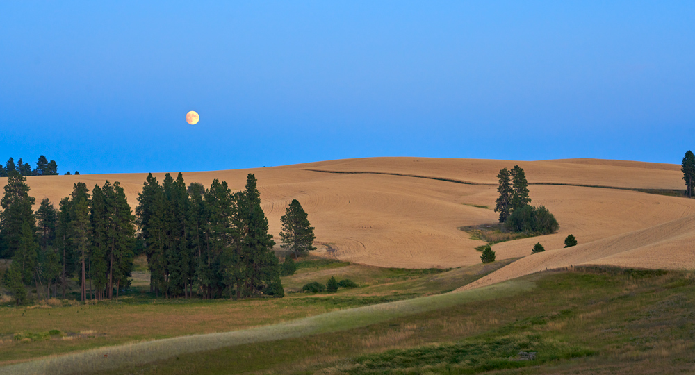 Moonrise